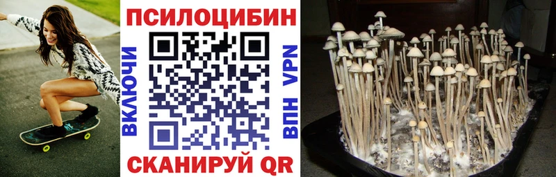 Псилоцибиновые грибы мухоморы  ОМГ ОМГ вход  Костерёво 